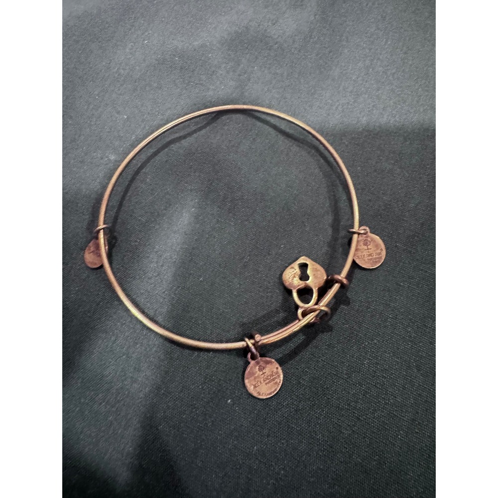 Alex and Ani Rafaelian Gold Heart Keyhole Expandable Bangle Bracelet Charm